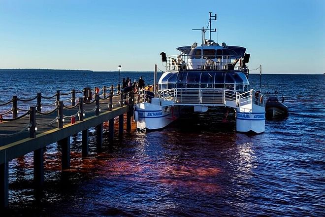 Exclusive Half-Day Itaipu Dam Exploration and Biological Refuge Adventure