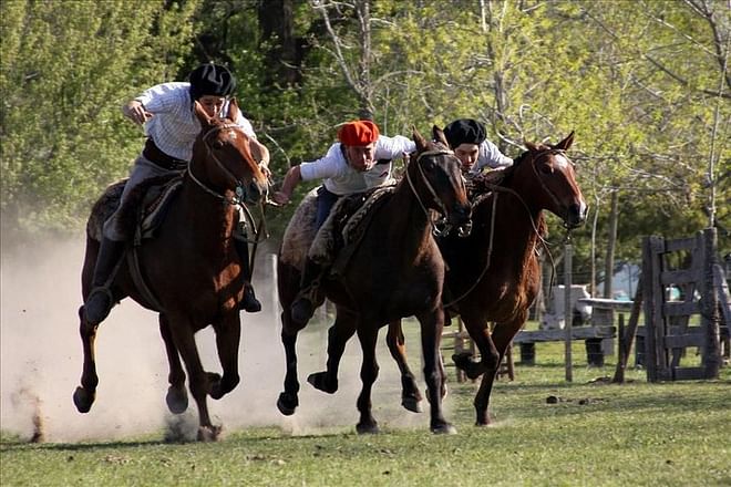 Ultimate Buenos Aires Adventure: City Tour, Authentic Gaucho Experience & Tango Dinner Evening