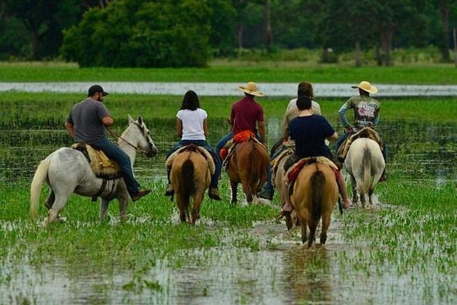 Discover the Magic of the Pantanal: 5-Day Northern Pantanal Exploration Adventure