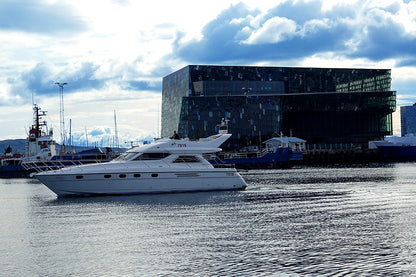 Reykjavik Bay Sailing and Puffin Watching Adventure