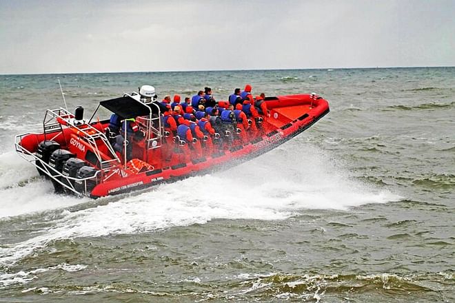 Reykjavik Bay Speedboat Excursion: The Ultimate Whale Watching Adventure in Iceland