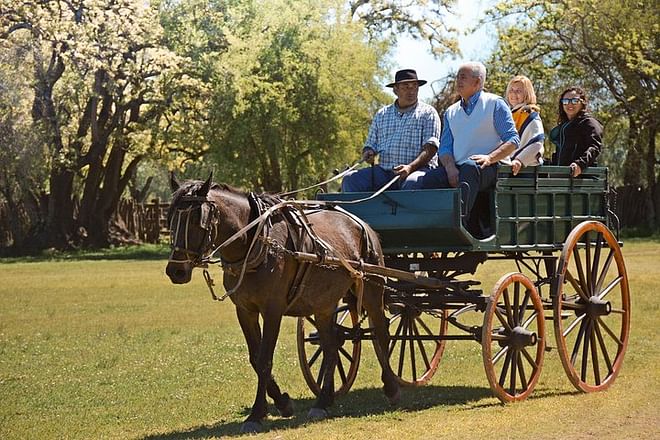 Exclusive Argentine Estancia: Private Day Tour Experience