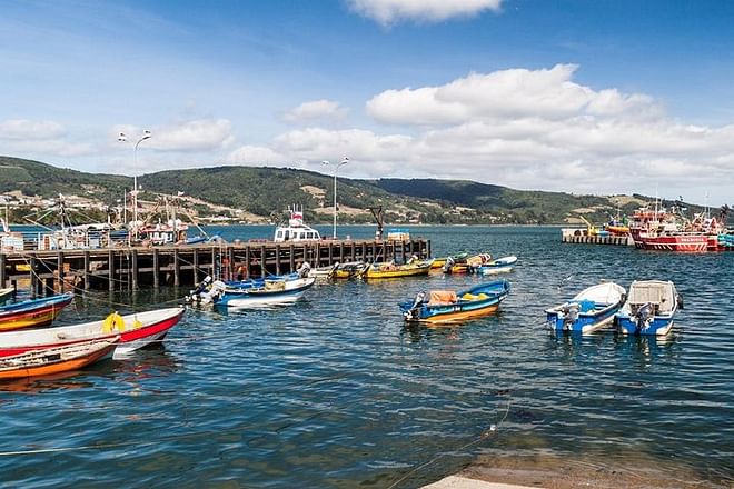 Luxury Full-Day Excursion to Chiloe Island, Ancud, and Penguin Colony