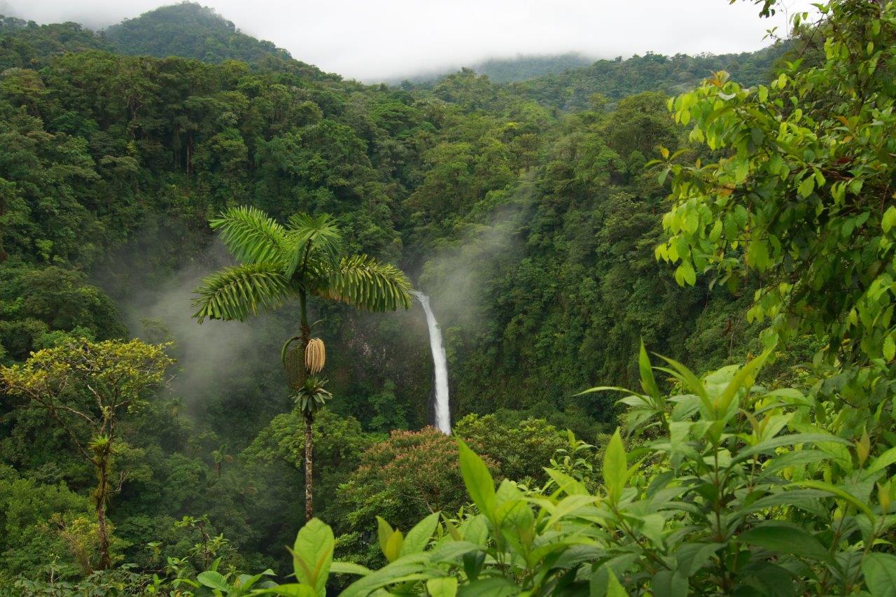 Explore the Best of Costa Rica: Unveiling the Marvels of Manuel Antonio National Park