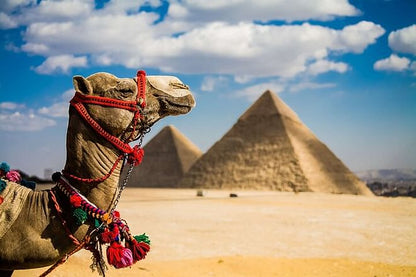 Giza Pyramids, Sphinx, and Egyptian Museum Stopover Tour