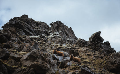 Highlands and Landmannalaugar Exclusive Private Tour: Discover Secret Gems with Photo Package