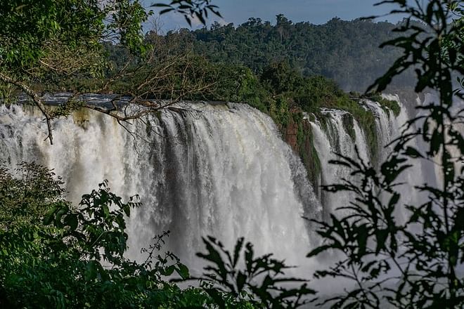 Exclusive Gran Meliá Iguazú Tour: Discover Iguassu Falls from Brazil, Explore the Bird Park and Embark on the Macuco Safari