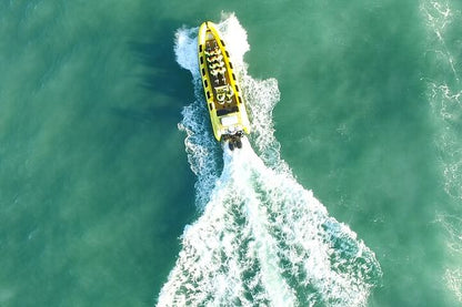 Reykjavik Bay Speedboat Excursion: The Ultimate Whale Watching Adventure in Iceland