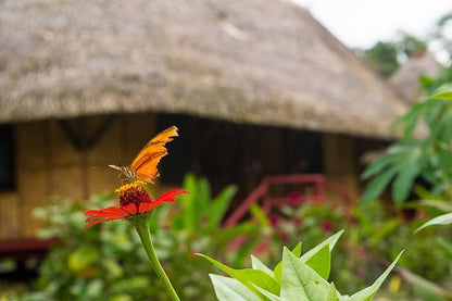 Sustainable Amazon Community Experience in Ecuador