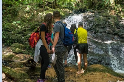 Full-Day Wilderness Exploration: An Adventure Hike Through Untouched Nature