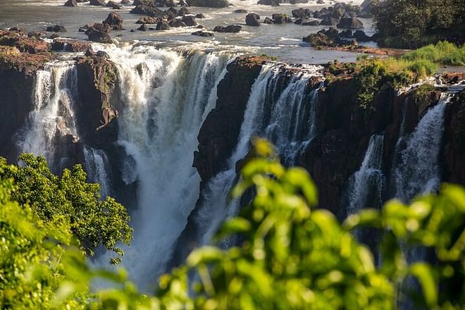 Discover Iguassu Falls: Brazilian Side Adventure with Exclusive Bird Park Tour and IGU Airport Transfer